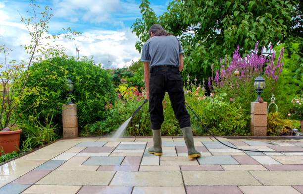 Animal Enclosure Cleaning in White Meadow Lake, NJ